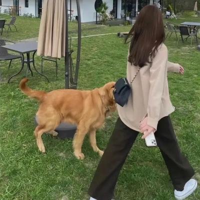 骗中骗 在线观看封面